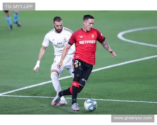 西甲联赛多少轮比赛：西甲联赛的赛季总轮次及赛制解析